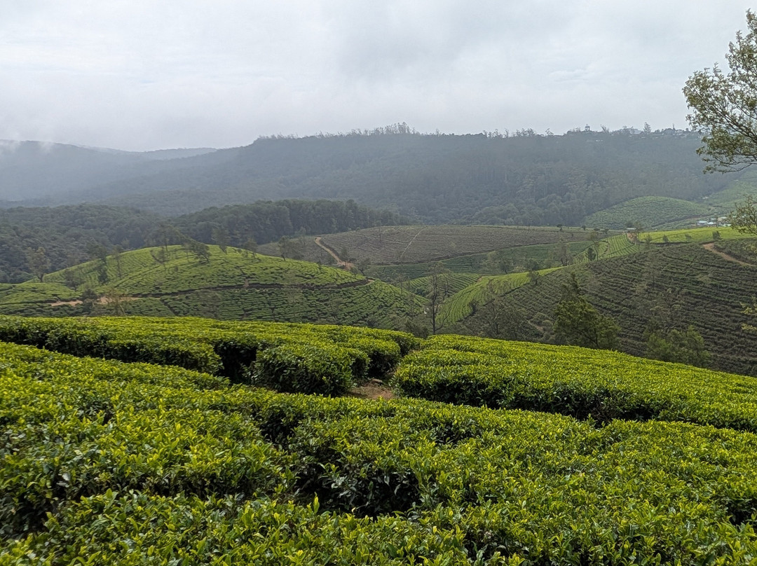 Sri Lanka Wide Tours-科伦坡必去景点