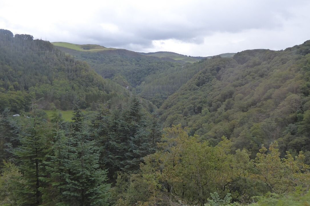 Vale of Rheidol Railway-阿伯里斯特威斯必去景点