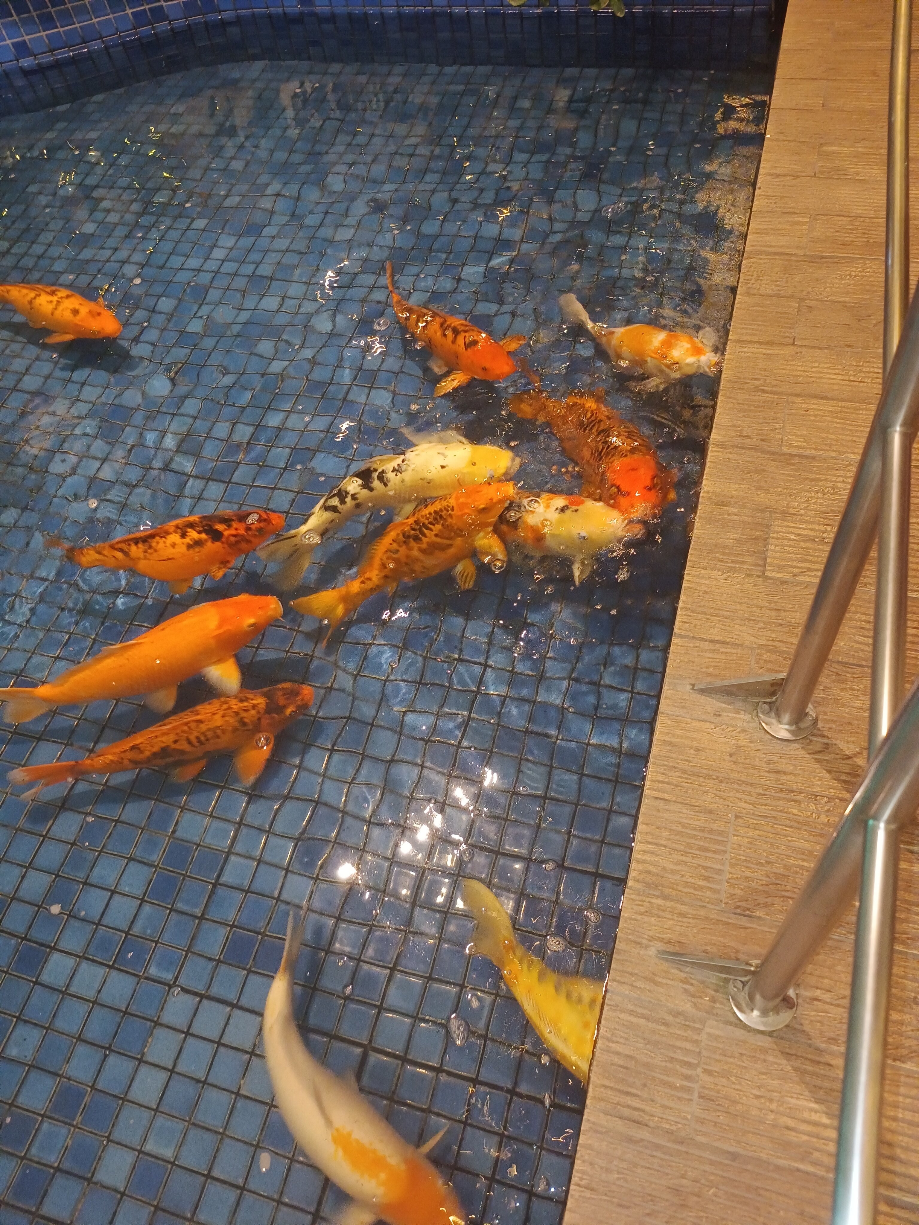 Best Western Premier Maceio-家庭/游戏区