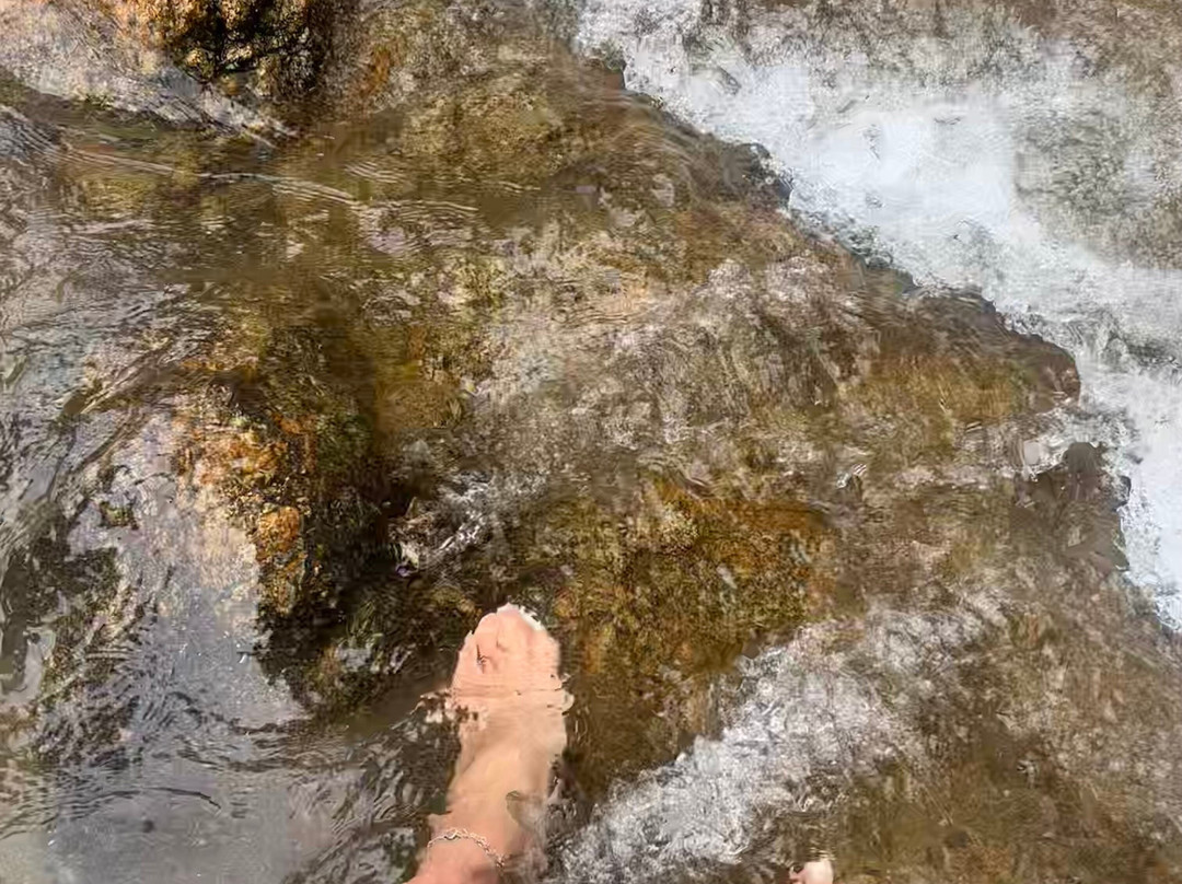 Jabaquara Beach-伊利亚贝拉必去景点