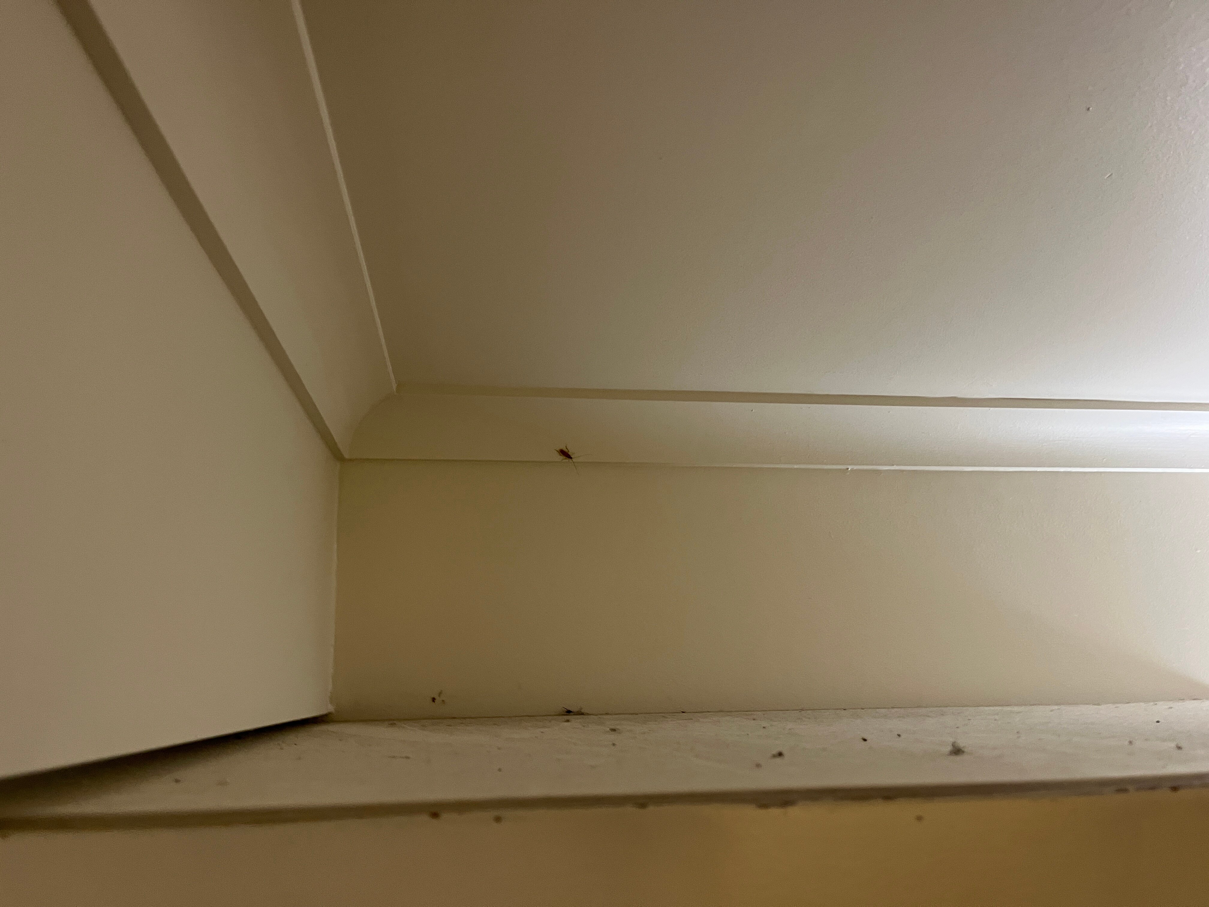 全季凯恩斯殖民俱乐部酒店-客卧