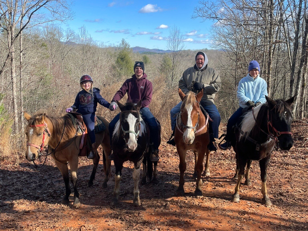 Blanche Manor Horseback Riding-Copperhill必去景点
