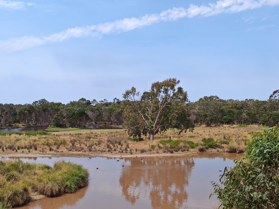 菲利普岛自然公园－考拉保护中心-莱尔必去景点