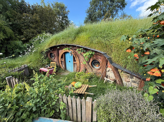 Red Carpet Tours-奥克兰中心地区必去景点