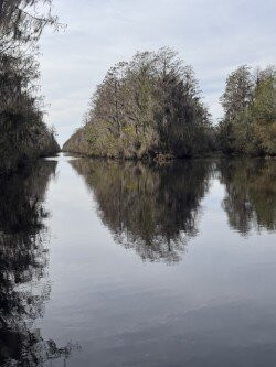 Okefenokee National Wildlife Refuge-Folkston必去景点