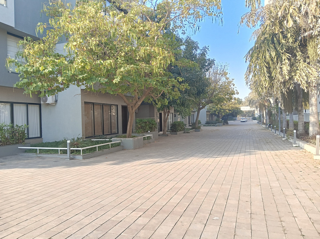 The Emerald Club主图