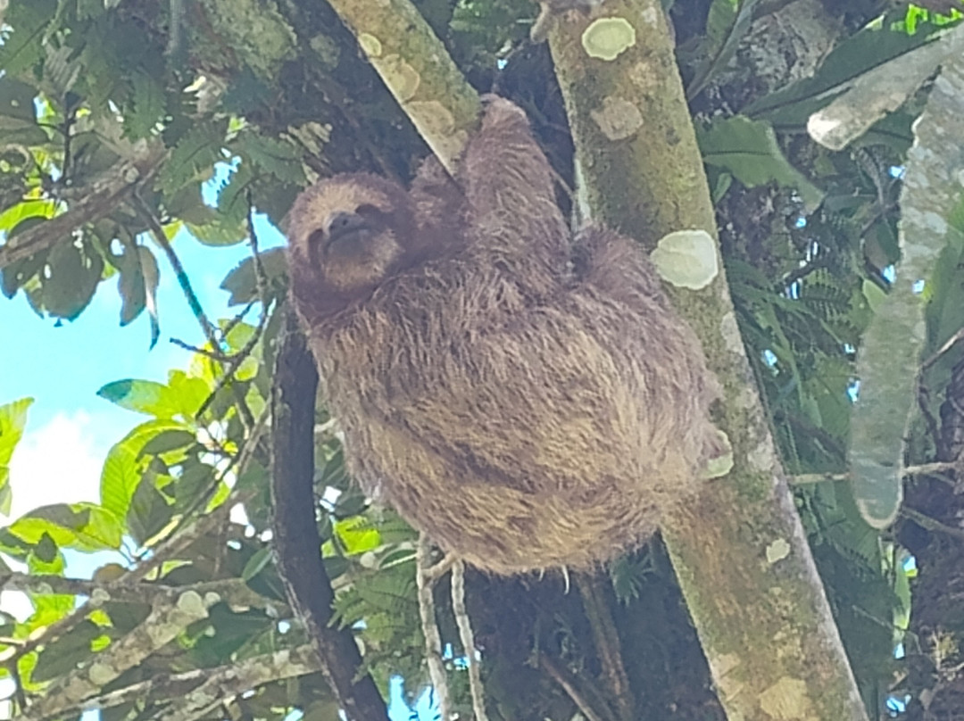 Maleku Tours-利比里亚必去景点