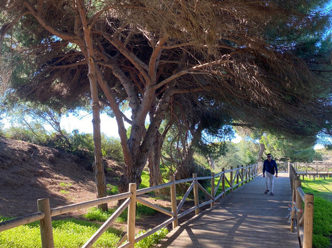 Dunas De Artola-马贝拉必去景点