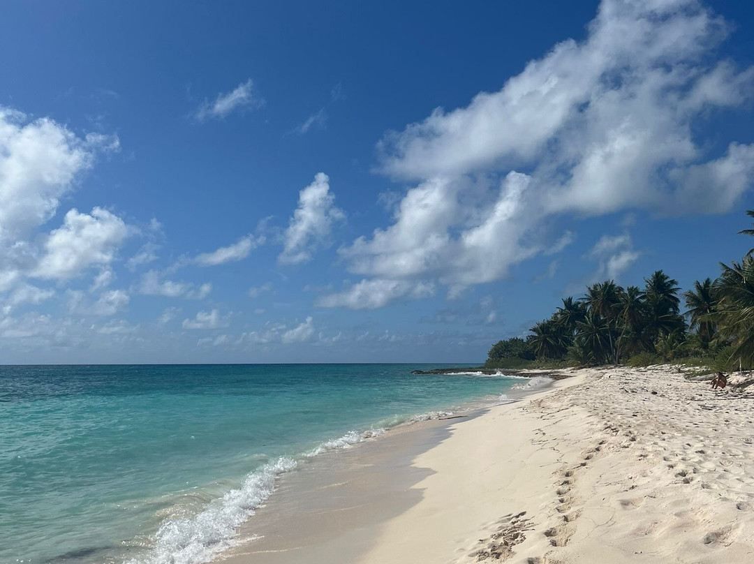 Franconero Escursioni-Bayahibe必去景点
