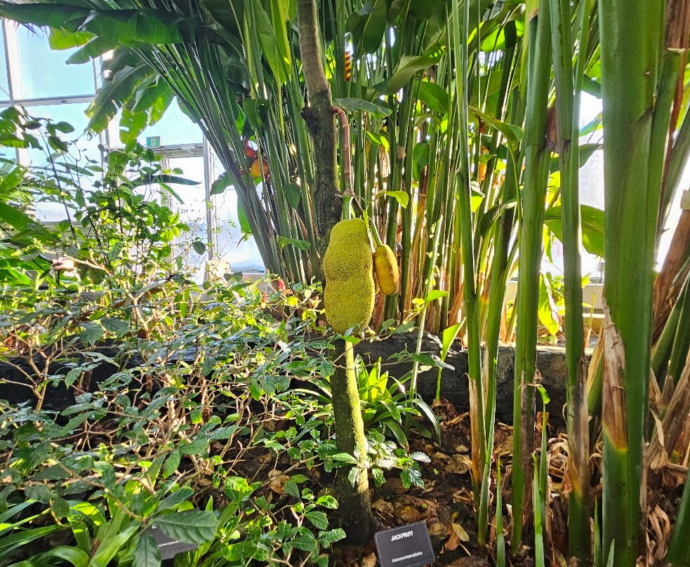 The Leaf-温尼伯必去景点