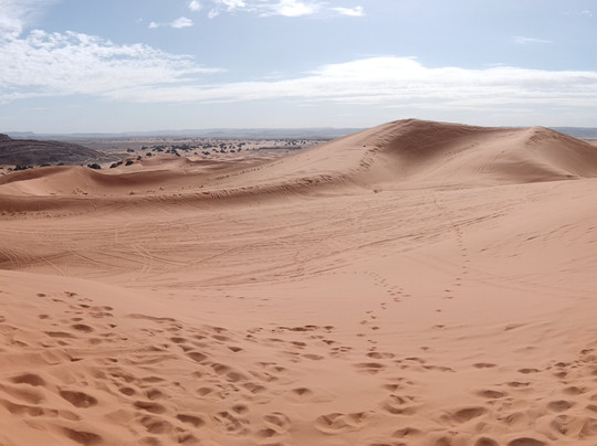 Viaje Por Marruecos - Private Day Tours-Erfoud必去景点