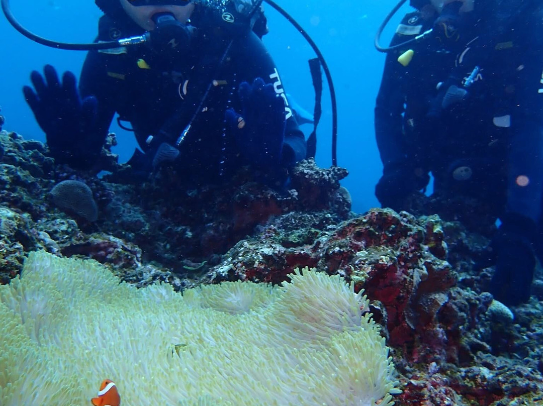 Joy Create Okinawa Tea-da-那霸市必去景点