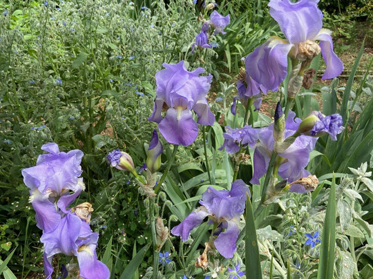 Les Jardins du MIP-Mouans-Sartoux必去景点