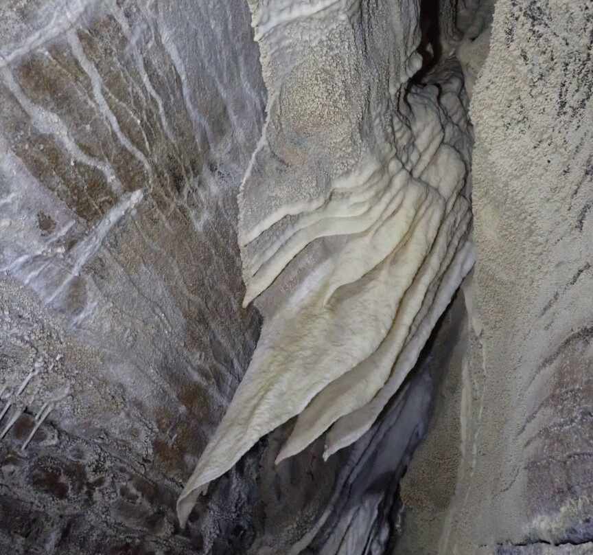 Underworld Adventures Ltd-Charleston必去景点