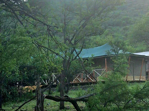 Mbuni Tented Camps-Seronera必去景点
