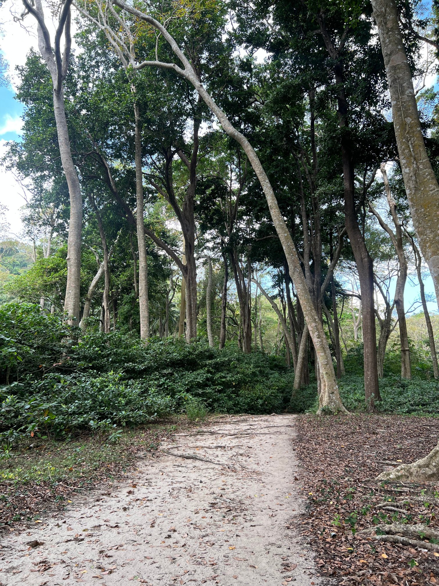 哈夫洛克赤脚酒店-浴室