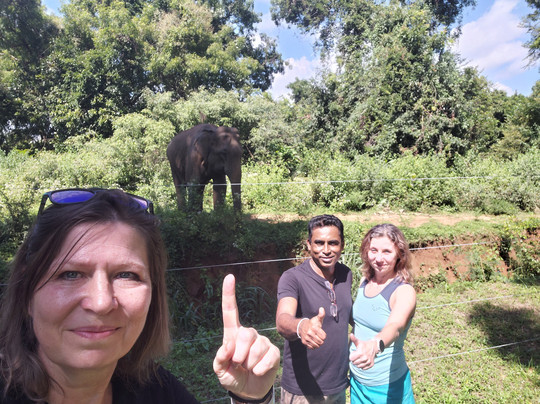 I and U Tours-Ganemulla必去景点
