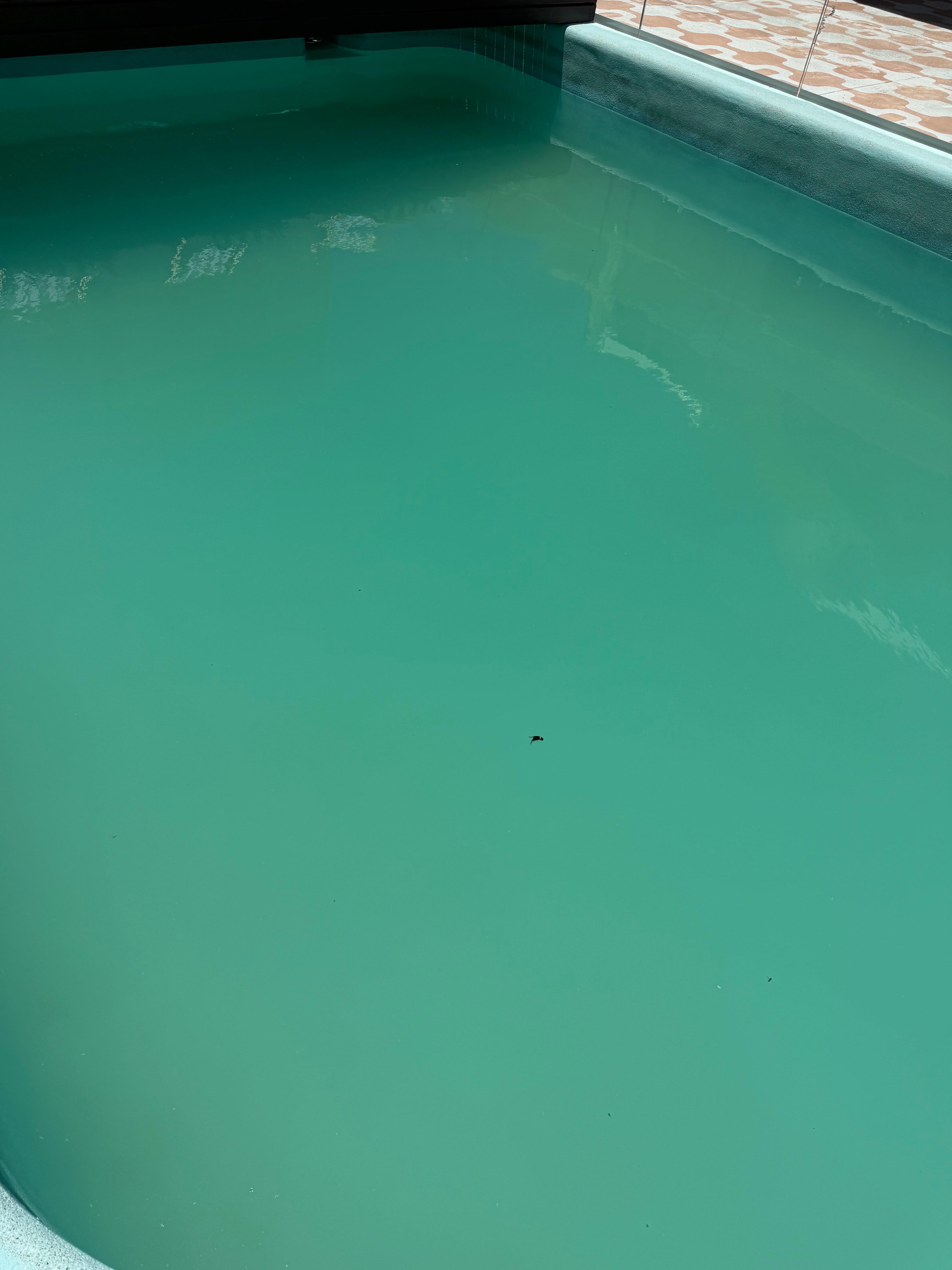 Tessa's On The Beach Boutique Hotel-官方