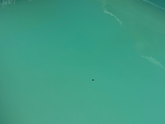 Tessa's On The Beach Boutique Hotel主图