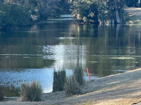 Arthur Hills Golf Course-希尔顿头岛必去景点