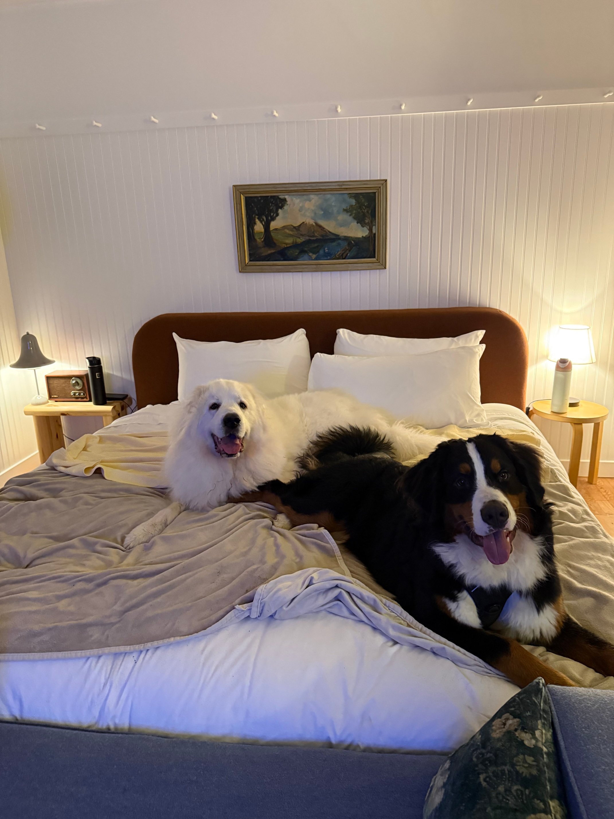 Drifthaven At Gearhart-官方