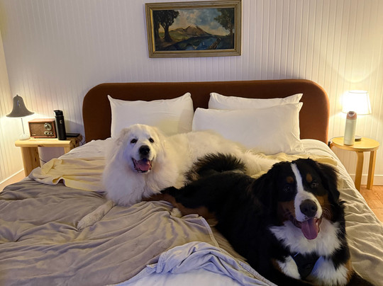 Drifthaven At Gearhart主图