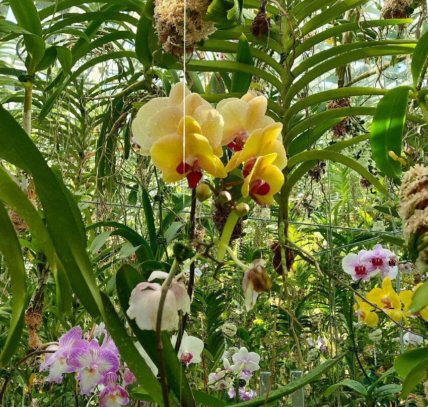 teamLab Planets TOKYO-Toyosu必去景点