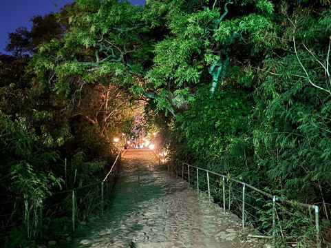 Forte Nossa Senhora Dos Remédios-费尔南多-迪诺罗尼亚群岛必去景点