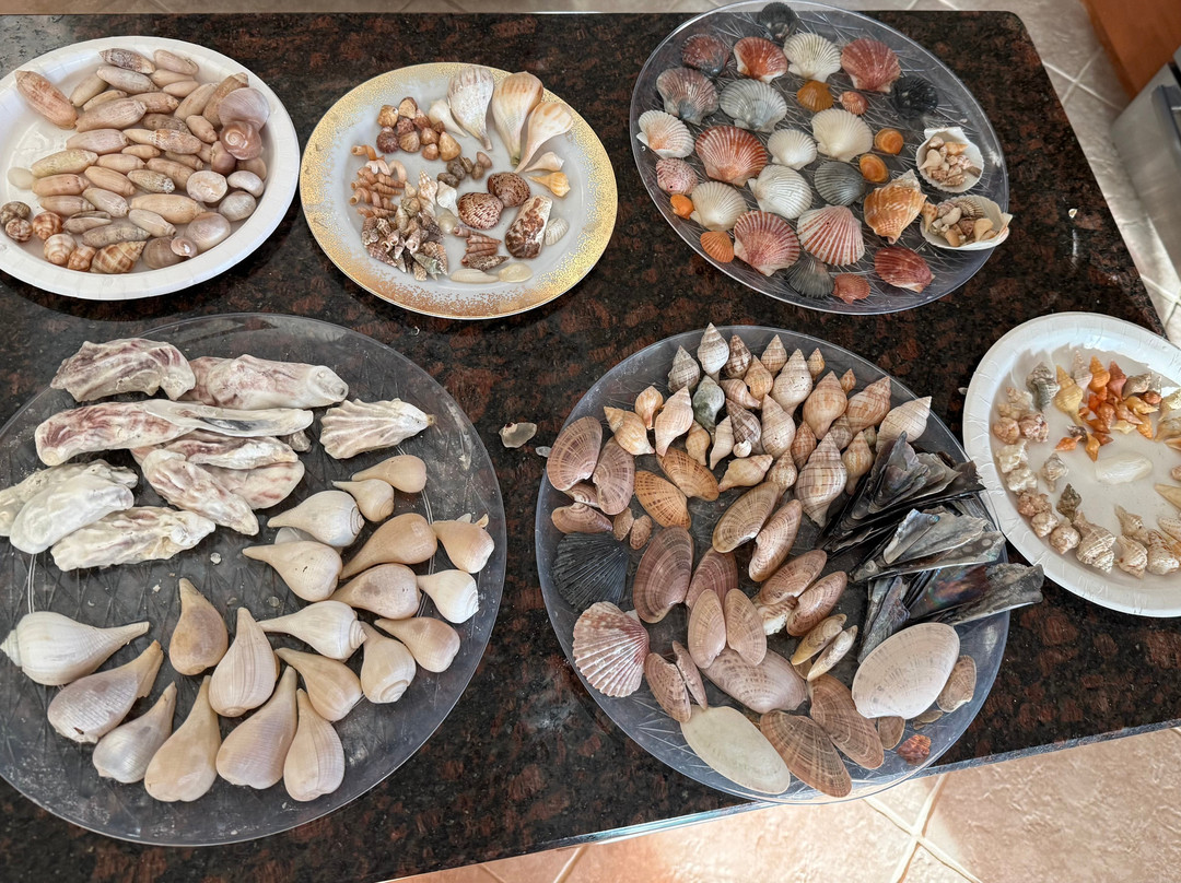 Reel Kind Fishing and Tours-Goodland必去景点