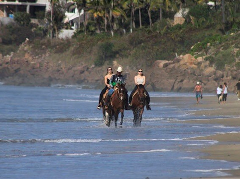 Vista Paraiso - Day Tours and Activities-Higuera Blanca必去景点