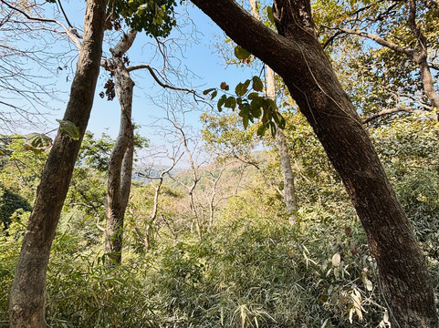 Jungle Buddies Tours-孟买必去景点