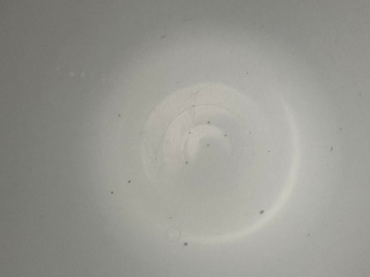 Grand Traverse Resort and Spa主图