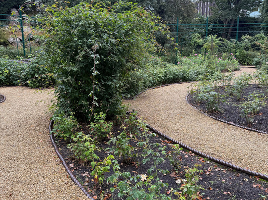 伊菲花园-都柏林必去景点