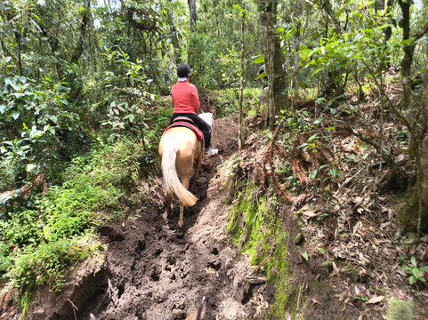 Rancho do Tinho-坎普斯－杜若尔当必去景点