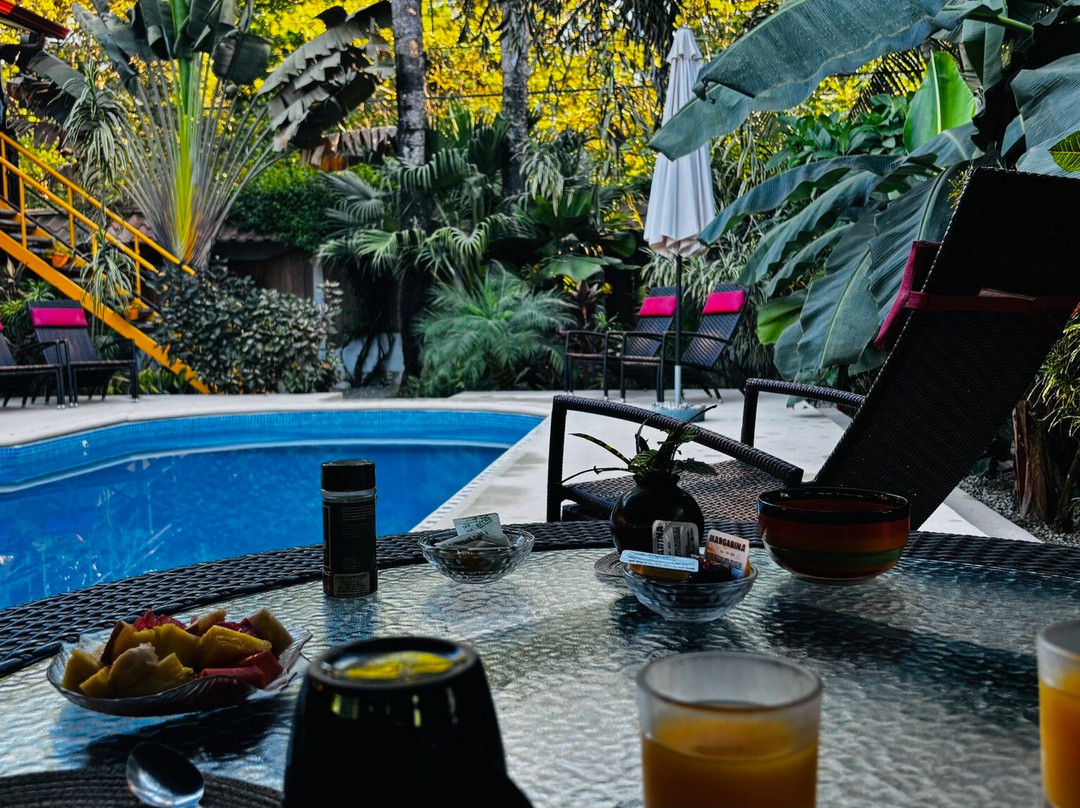 萨马拉棕榈旅馆主图