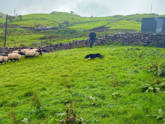 Killary Sheep Farm-Leenane必去景点