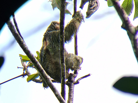 My Costa Rica-圣何塞必去景点