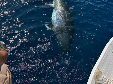 Fishing in Mallorca-El Toro必去景点