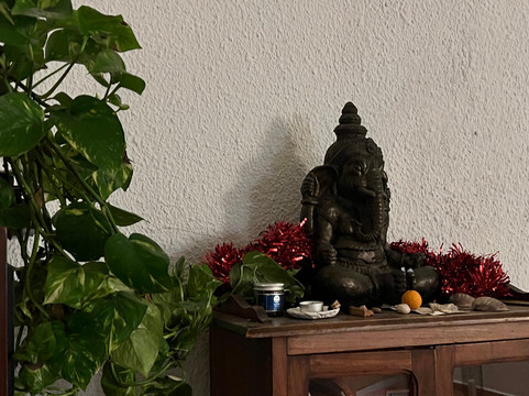 Wild Warrior Yoga-Los Canos de Meca必去景点