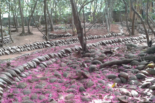 Kosgoda spice Garden 777-科斯戈德必去景点