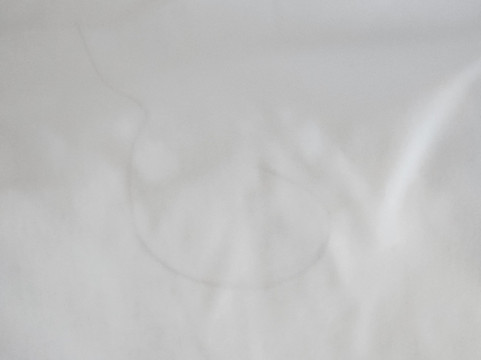 Quality Inn Franklin I-65主图