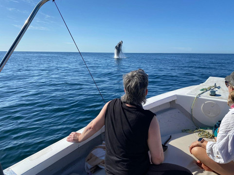 Pacific Adventures-San Patricio必去景点