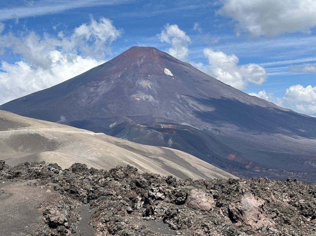 Reserva Nacional Malalcahuello - Nalcas-Malalcahuello必去景点