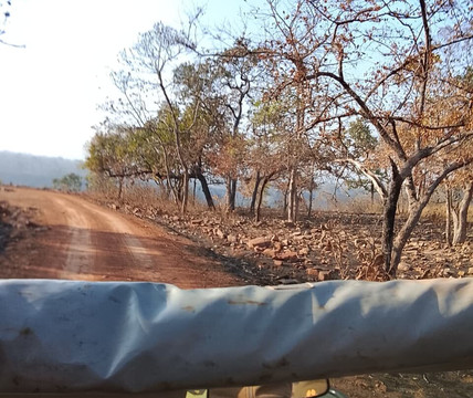 Panna Tiger Reserve-Madla必去景点