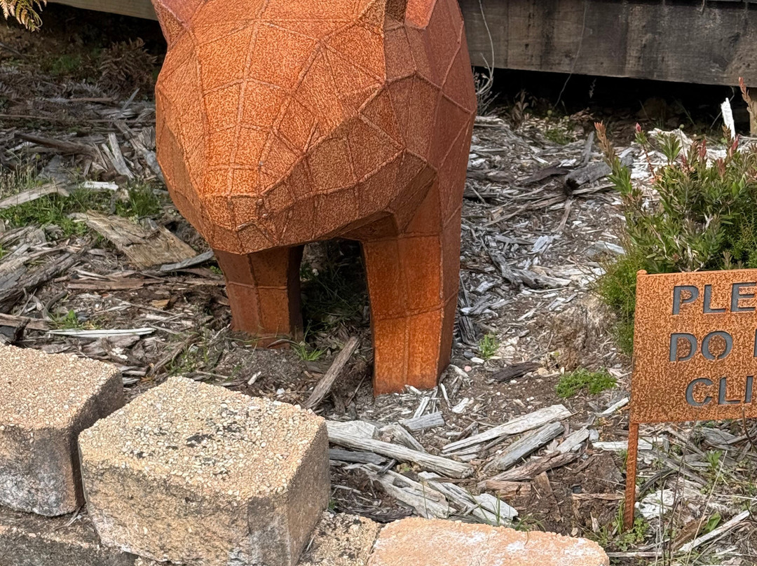 Cradle Mountain Wilderness Gallery-摇篮山圣克莱尔湖国家公园必去景点