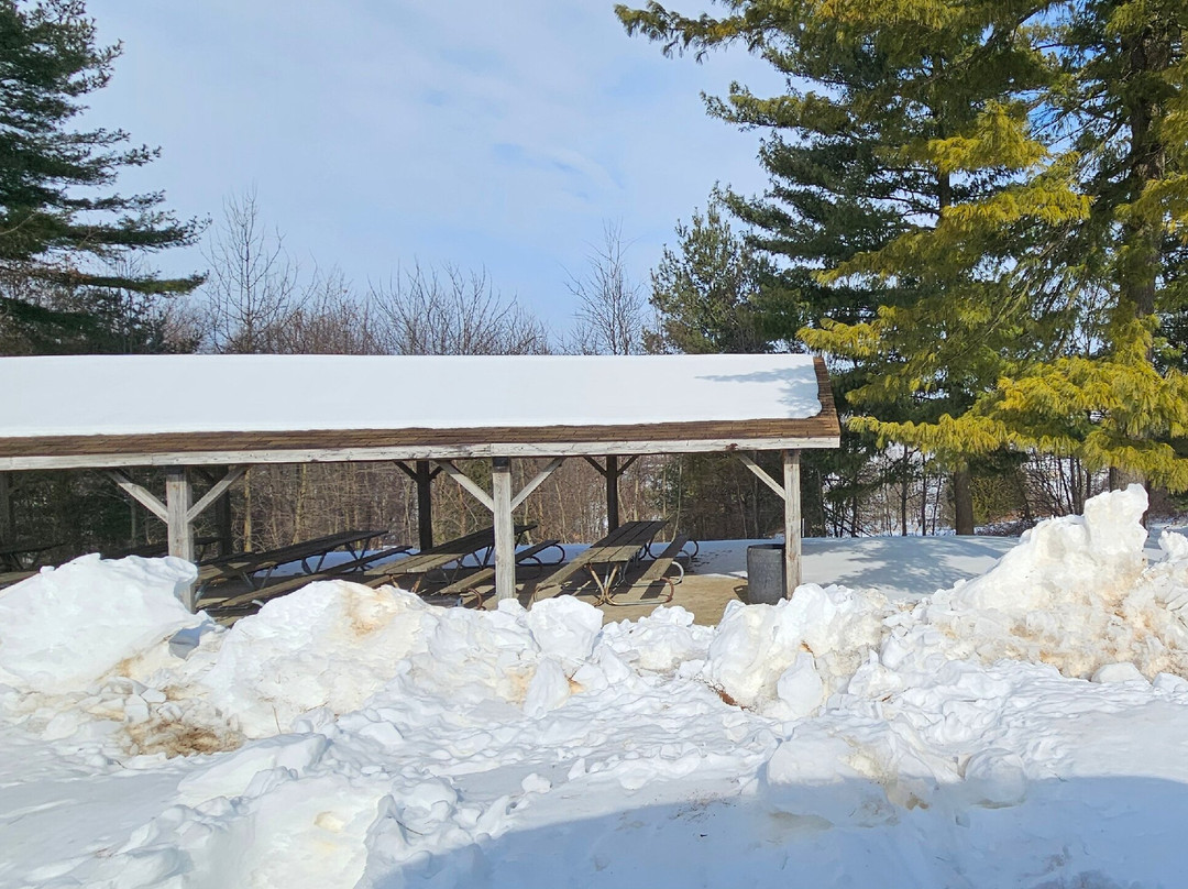 Charles Sweeney Memorial Park-Shrewsbury必去景点