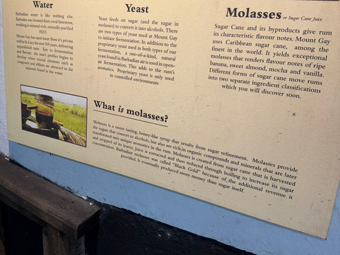 Mount Gay Rum Distillery-Benthams必去景点