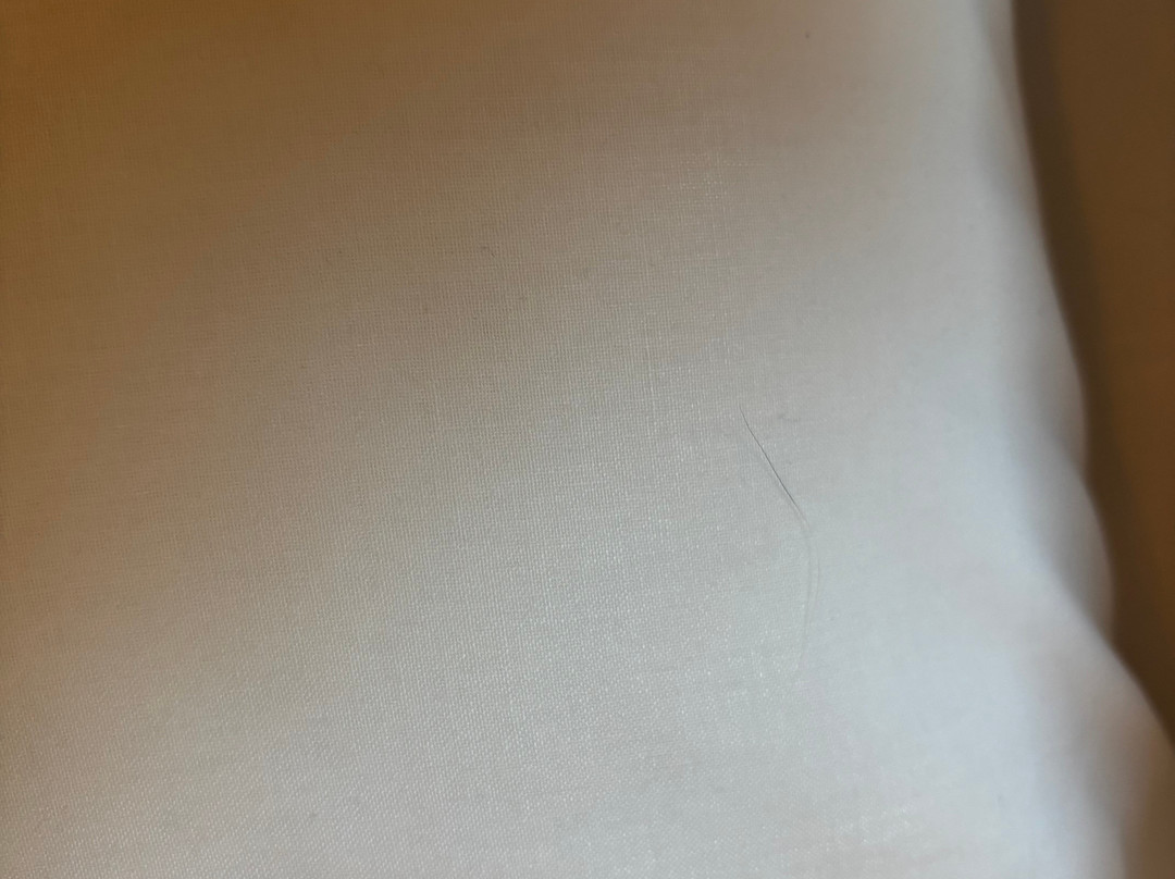 Ibis Budget Mont de Marsan主图