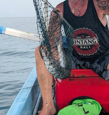 Bali Back in Black-库塔必去景点