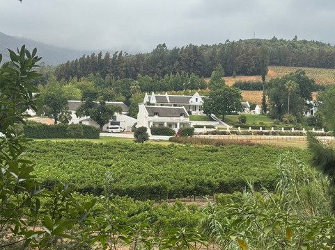Doolhof Wine Estate-惠灵顿必去景点